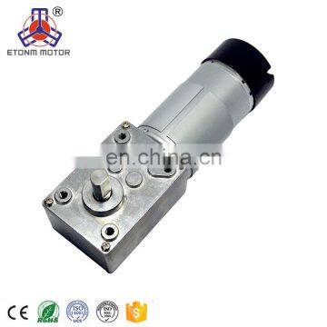 motor with gear reduction 24v high torque