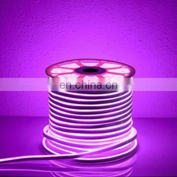 110V RGB 2835 LED Flexible Neon Rope Strip Light for Outdoor Decoration Waterproof