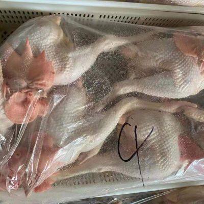 Fresh Frozen Bone Raw Chicken photo-2