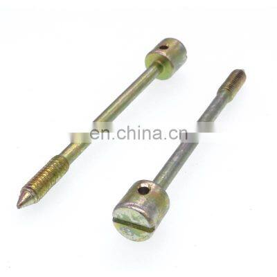 China Manufacturer high quality sealing screw for electric meters