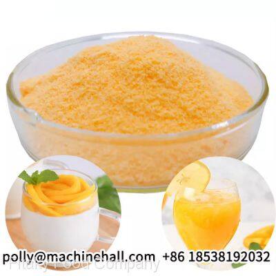 Grade A Mango Powder Manufacturer From China photo-3