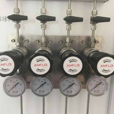 Laboratory Gas Supply System Engineering Centralized Laboratory Gas Supply System photo-5