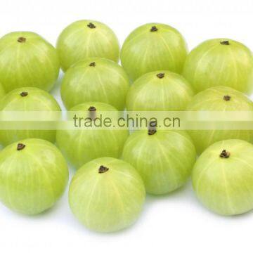 Premium Quality Emblica officinalis (Amla) Powder Producers