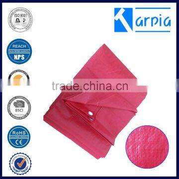50~300gsm Poly Fireproof pe Tarpaulin for Truck and Pool at Low Price photo-4