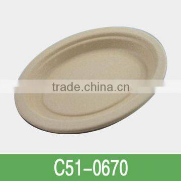 disposable bamboo food Plate