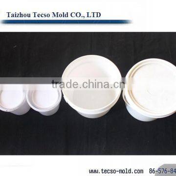 Taizzhou plastic paint bucket mould maker