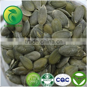 Wholesale Hot Selling Pumpkin Seeds Kernels GWS Oil