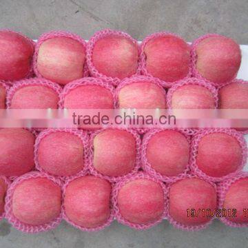 fresh 88-100 organic red fuji apple for sale