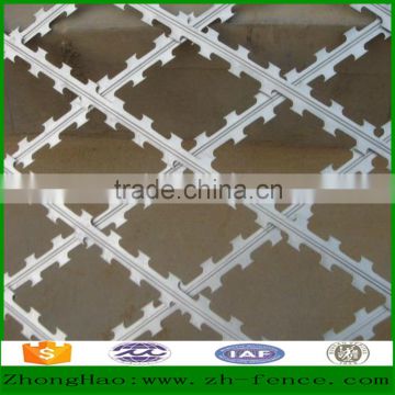 High quality hot dipped galvanized razor barbed wire Fence