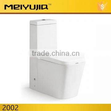 2002 Water Saving Ceramic Washdown Two piece Toilet