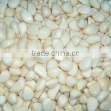 IQF Garlic Frozen Garlic Clove Peeled