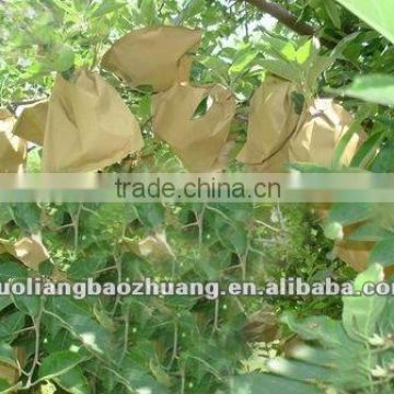 Paper Apple Bag for Cultivation