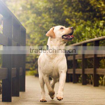 Geo-fencing alarm Dog /Pet/Animal Tracking System Software/GPS Waterproof Tracker