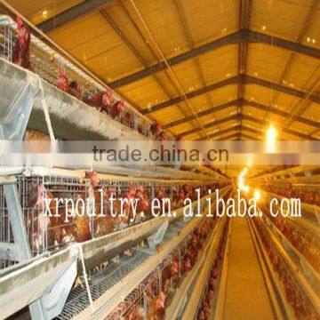 "A" type chicken cages for poultry layer house/shed