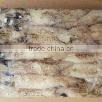 Frozen Whole Round Squid photo-4