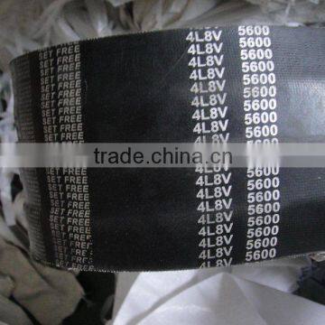 8V BANDED BELT