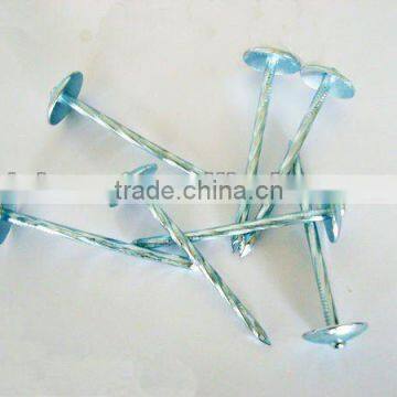 Galvanized Roofing Nail With Umbrella Head From DINGZHOU BEST HARDWARE CO.,LTD photo-2