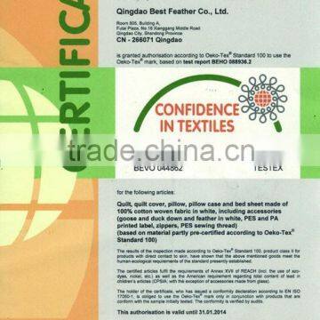 White Duck Down Pillow for Hotel Wholesale photo-2