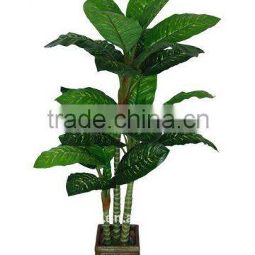 Highly imitation Dieffenbachia