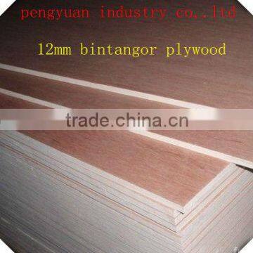 furniture plywood bintangor/okoume plywood 3--15 ply from shandong china