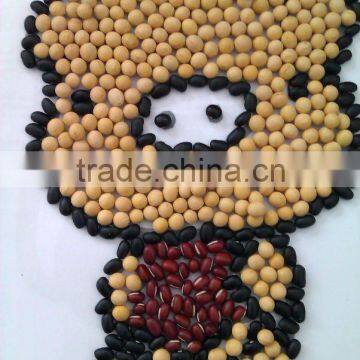 Organic Soya Beans( New Crop,Heilongjiang Origin) photo-5