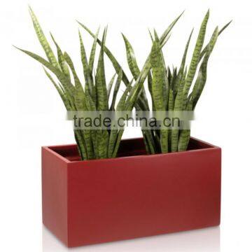 Easy Removeable High Quality Colorful Pot Planter photo-5