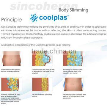 Distribution Cellulite Freezing Cool Shaping Machine for Weight Loss