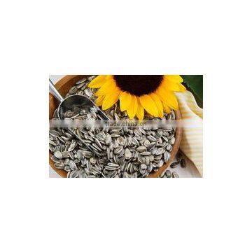 SUNFLOWER SEEDS photo-3