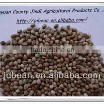 2012 crop hemp seed for bird food