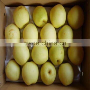 China organic fresh crown pear