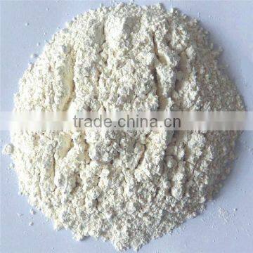 Bulk garlic powder supplier from China