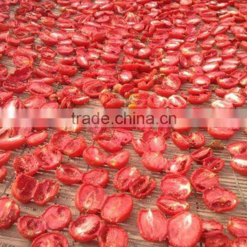 China Dried Tomato Powder