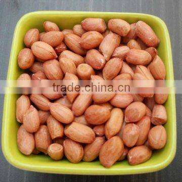 GROUNDNUT KERNALS