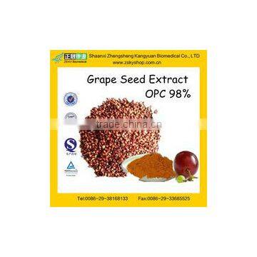 GMP Factory Supply Pure Grape Seed Extract (High Orac Value)