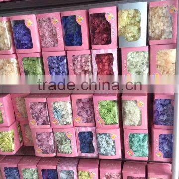 2016 Newest Gold Flower Hydrangea Preserved Flower Hydranger Fresh Flowers Farms Directly