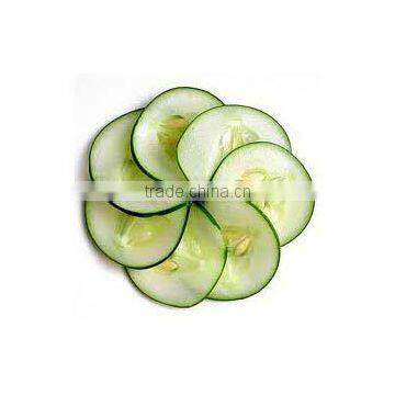 CUCUMBER SEED OIL FROM SILVERLINE