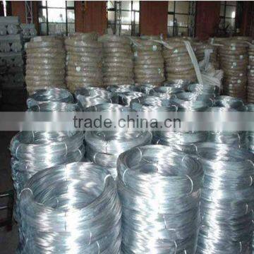 Electro Galvanized Iron Wire Manufacturer ISO9001 ( Factory )