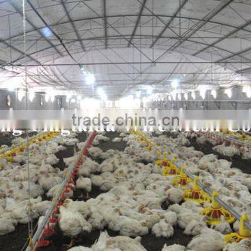 2015 Professional automatic feeding equipment automatic poultry feeder for broiler and breeder