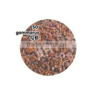 Dried Gammarus
