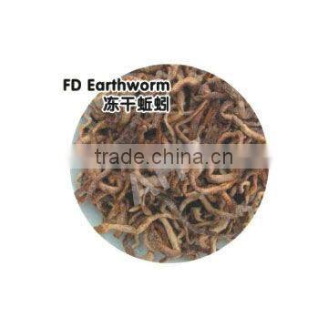 Freeze Dried Earthworm