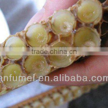 popular frsh royal jelly for drink for sale