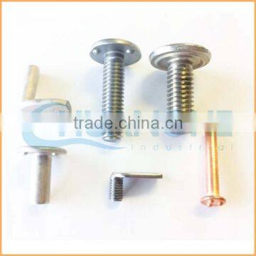 Factory Sales Unique Nonstandard Stainless Welding Screw photo-5