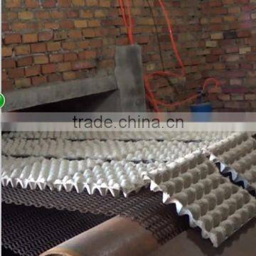 Pulp Color Egg Trays/ Paper Open Egg Trays for Sale