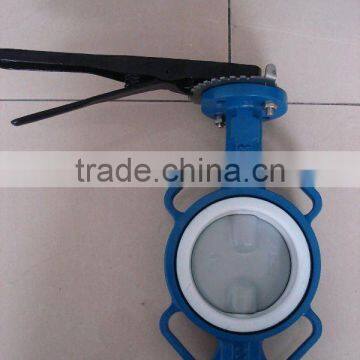 Wafer Type Butterfly Valve Disc Coated Nylon