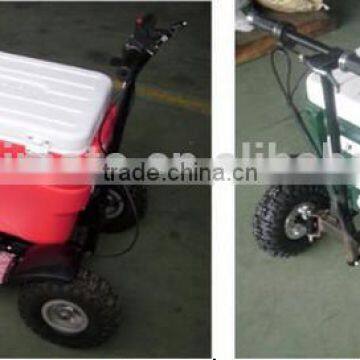Hot Sale Gas Cooler Scooter for BBQ/43cc EPA Ice Chest Scooter (TKS-S43) photo-6