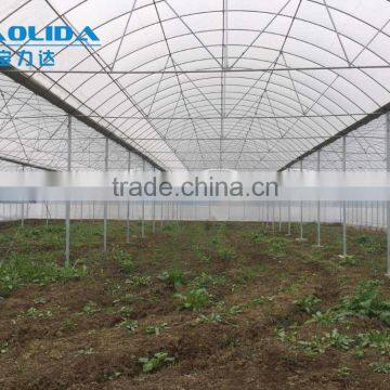 Factory Price BLD001 Plasctic Film Cover Greenhouse for Agricultural and Commercial Use photo-4