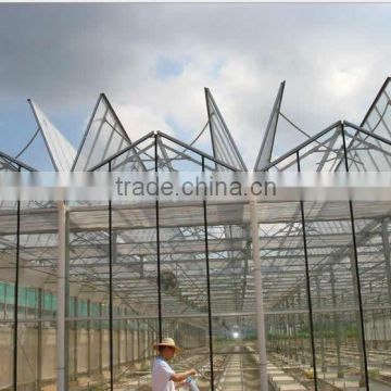 Glass Horticultural Greenhouse for vegetables growing