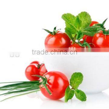 Tomato Greenhouse photo-2