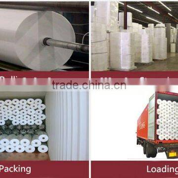 China High Quality Spunbond PP Nonwoven Fabric Roll photo-2