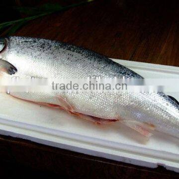 Super Premium Dog Food photo-3